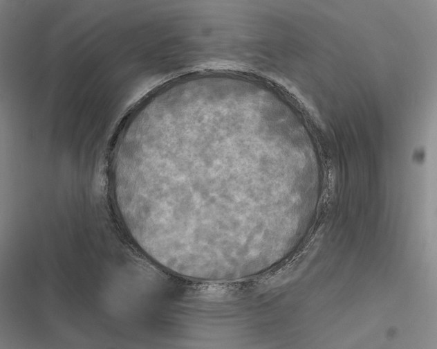 X0000116791266201001081306