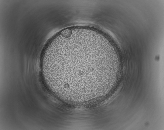 X0000116791267201001081306