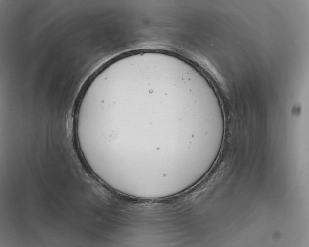 X0000116791268201001081306