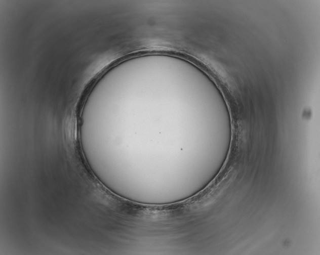 X0000116791269201001081306