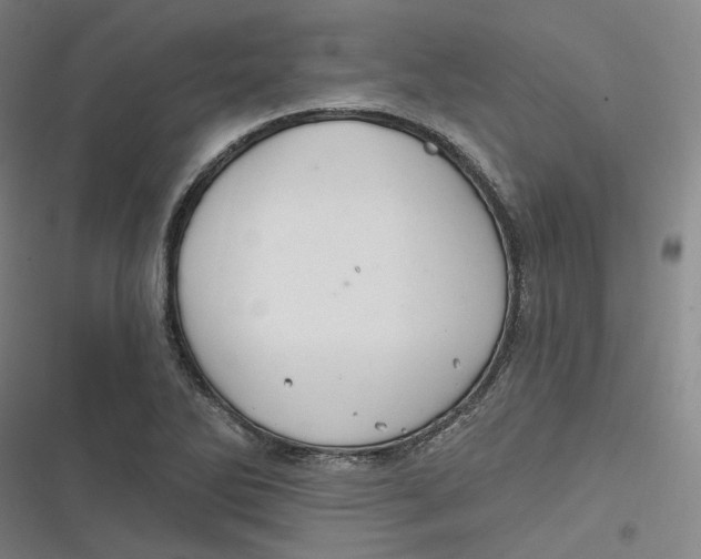 X0000116791270201001081306