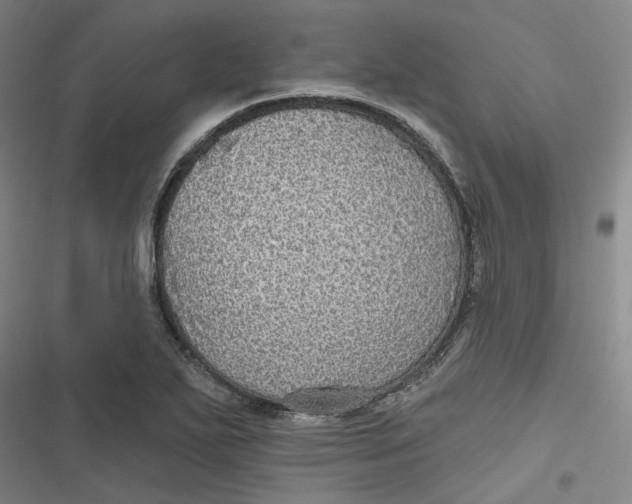 X0000116791271201001081306