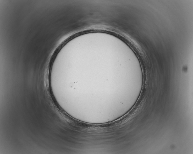 X0000116791272201001081306