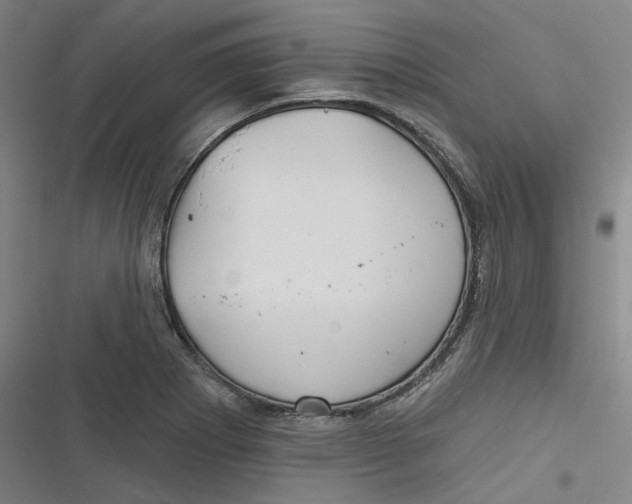 X0000116791273201001081306