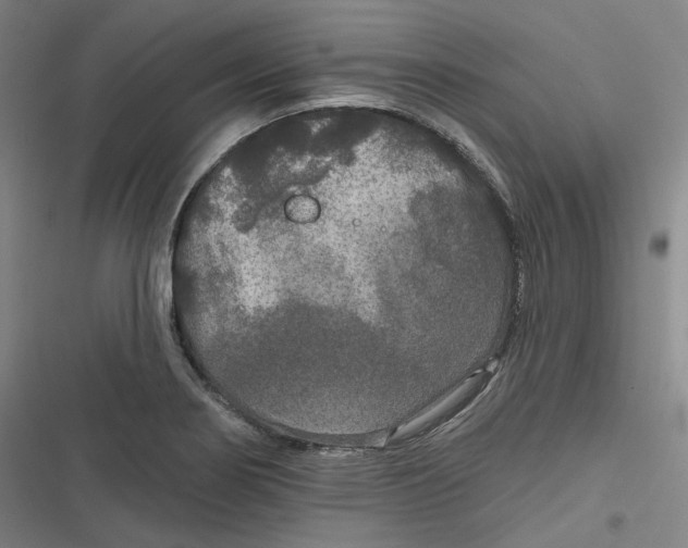 X0000116791274201001081306