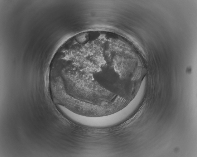 X0000116791275201001081306