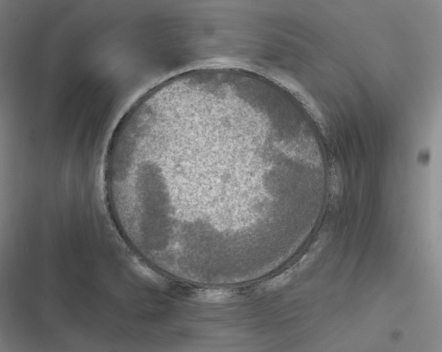 X0000116791278201001081306