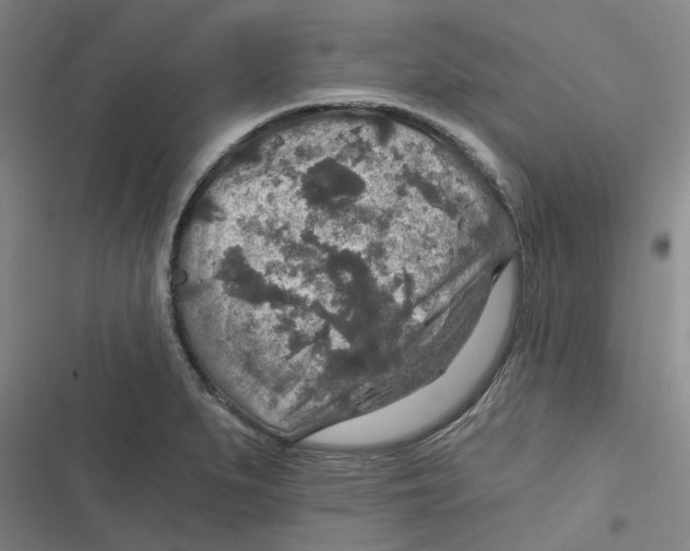 X0000116791279201001081306