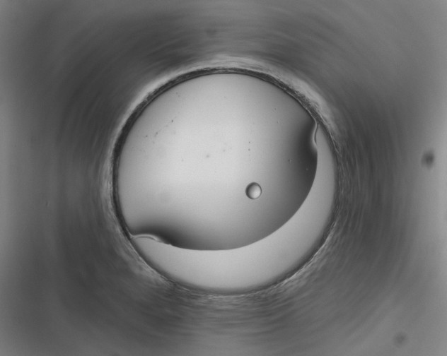 X0000116791280201001081306