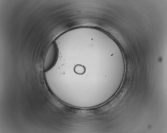 X0000116791281201001081306