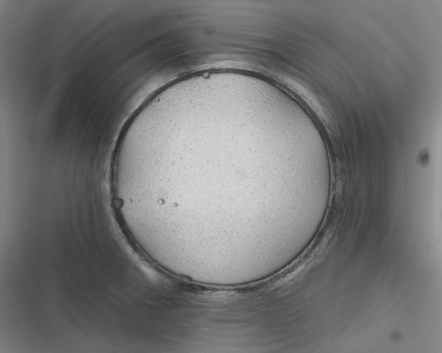 X0000116791282201001081306