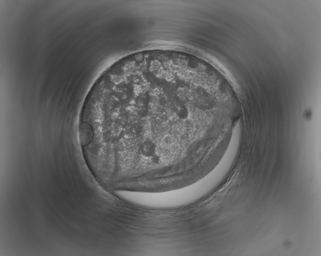 X0000116791283201001081306