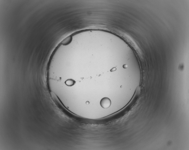 X0000116791284201001081306