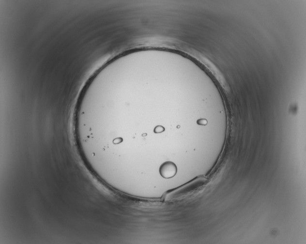 X0000116791285201001081306