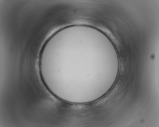 X0000116791286201001081306