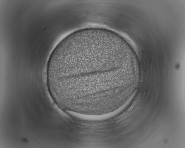 X0000116791287201001081306