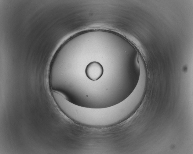 X0000116791288201001081306