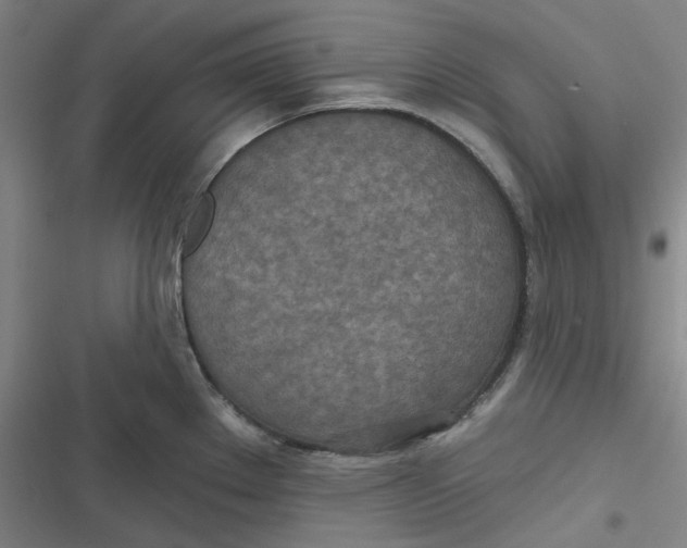 X0000116791289201001081306