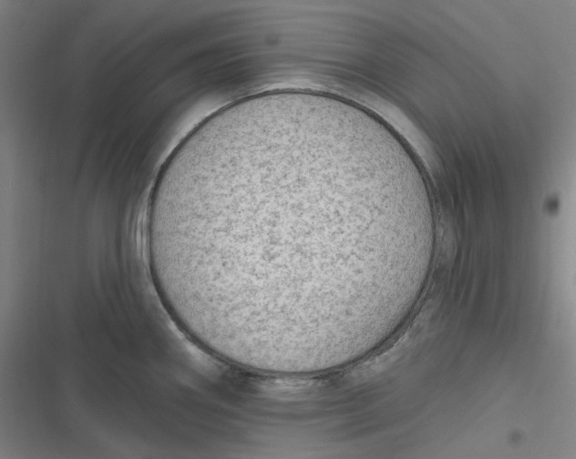 X0000116791290201001081306