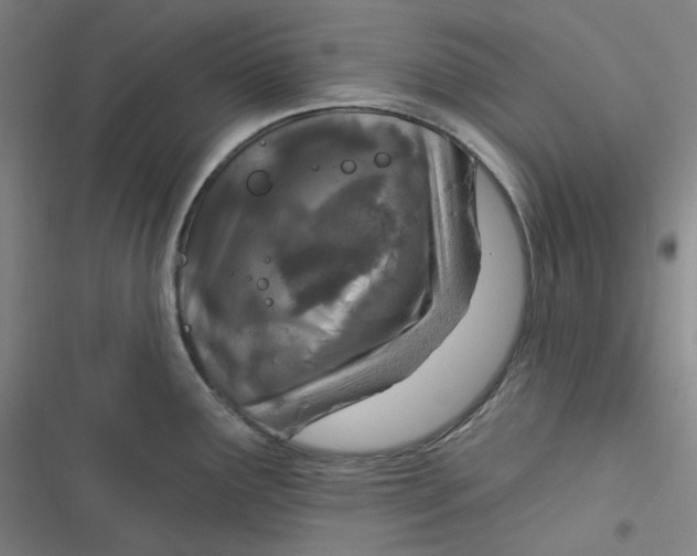 X0000116791291201001081306