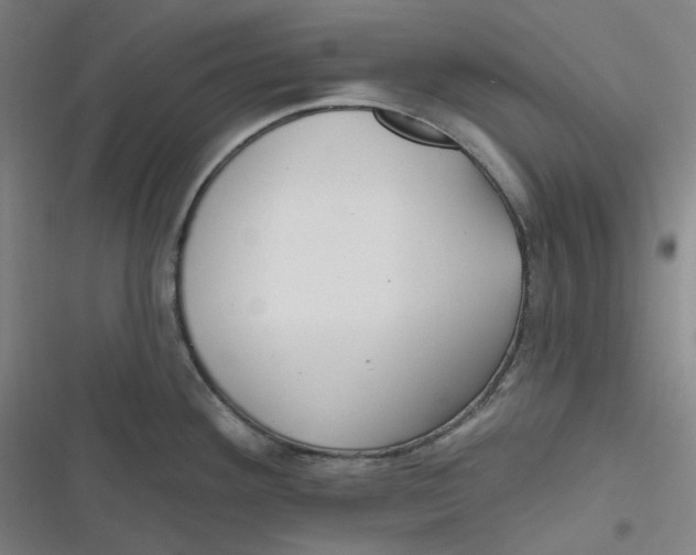 X0000116791292201001081306