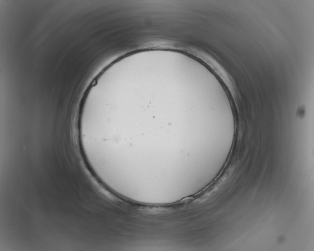 X0000116791293201001081306