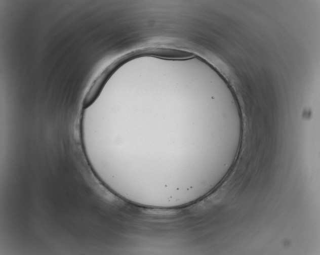 X0000116791296201001081305