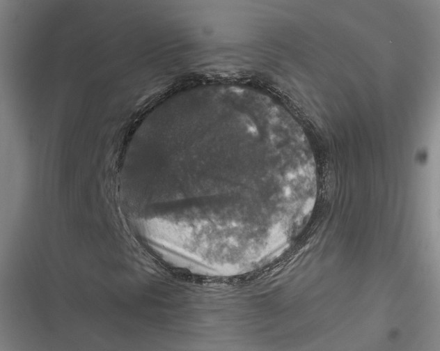 X0000116791297201001081305