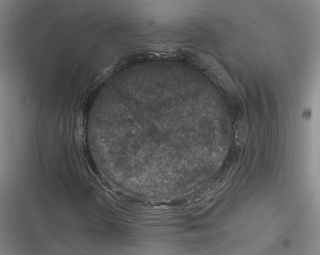 X0000116791298201001081305