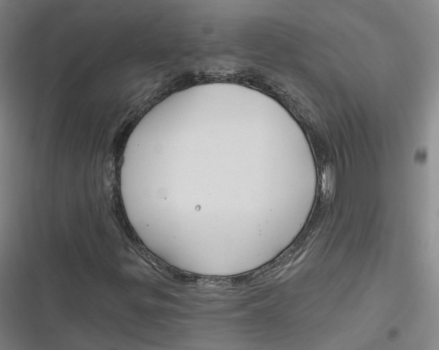 X0000116791299201001081305