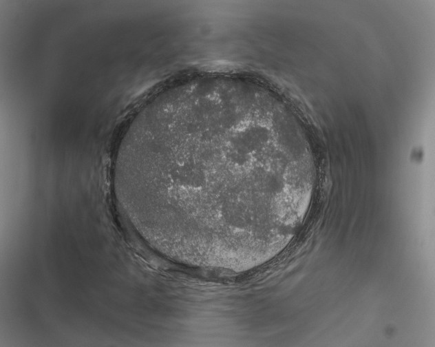 X0000116791301201001081305