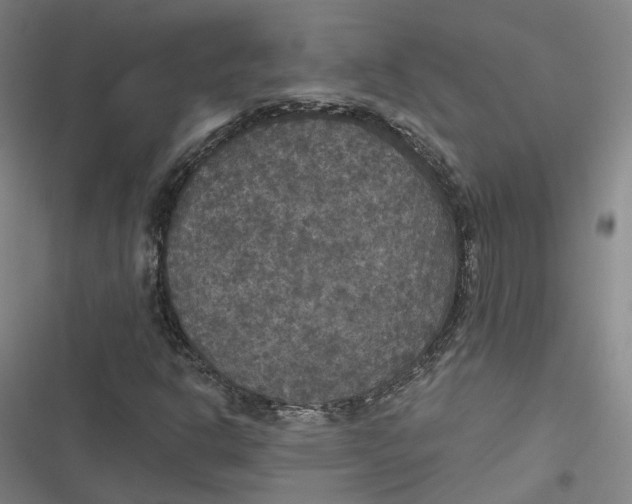 X0000116791302201001081305