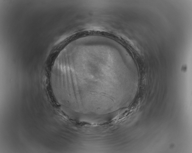 X0000116791303201001081305