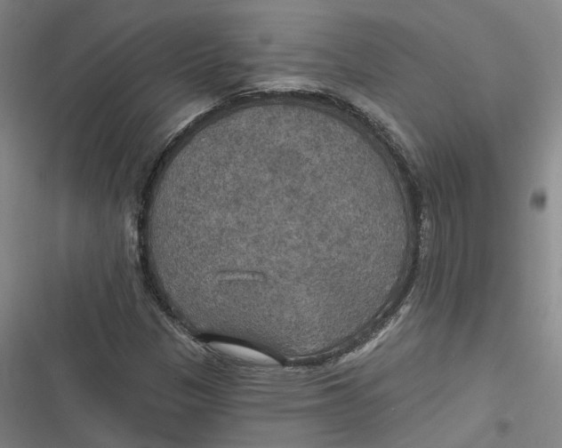 X0000116791305201001081305