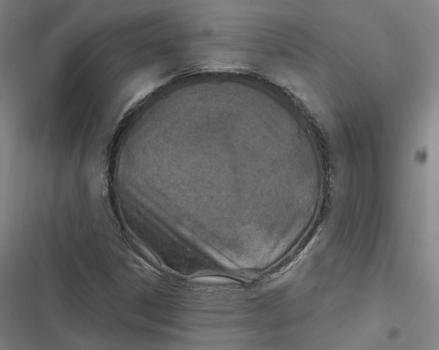 X0000116791306201001081305