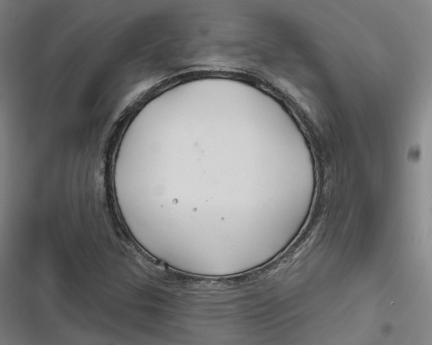 X0000116791307201001081305