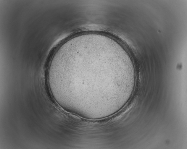 X0000116791309201001081305