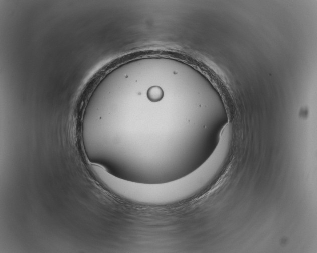 X0000116791310201001081305