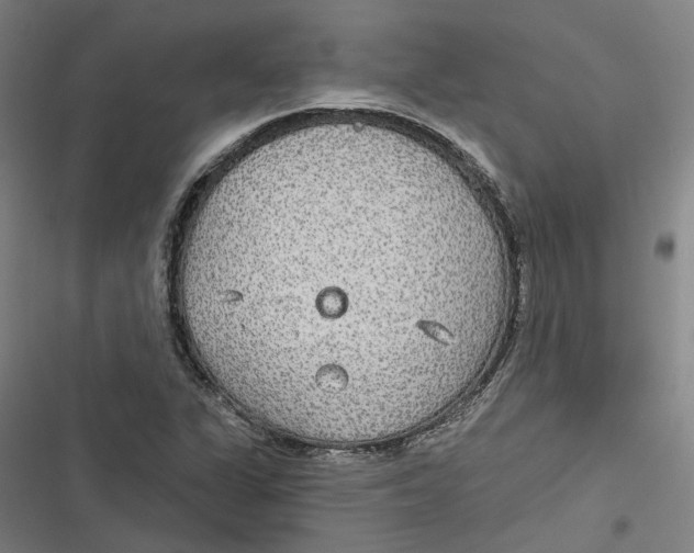 X0000116791311201001081305