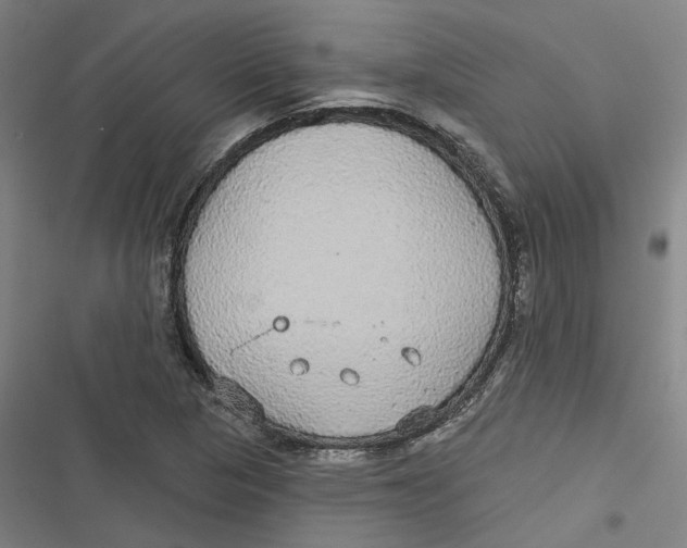 X0000116791313201001081305