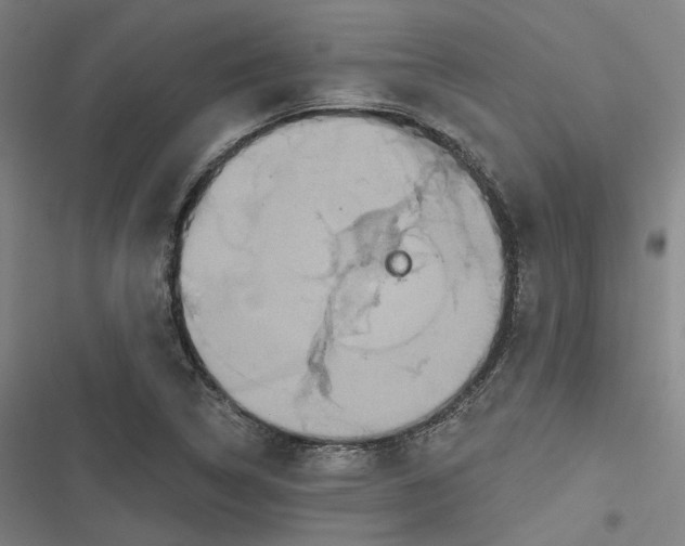 X0000116791314201001081305