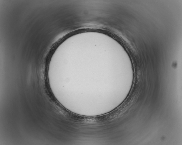 X0000116791315201001081305