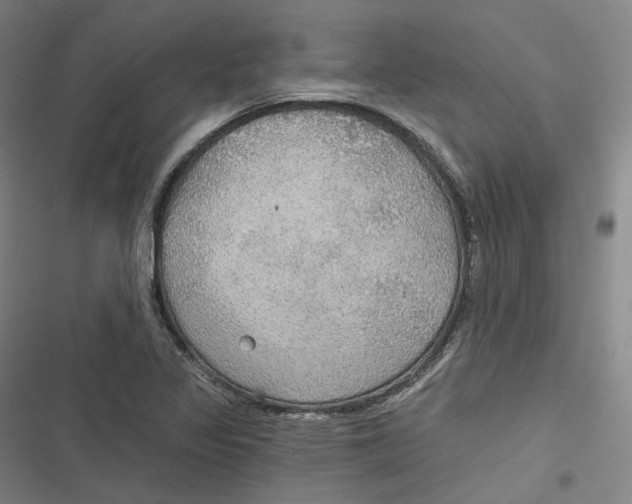 X0000116791317201001081305