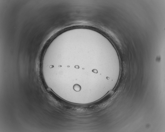 X0000116791318201001081305