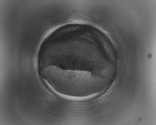 X0000116791319201001081305