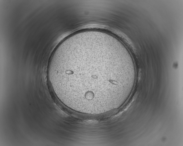 X0000116791321201001081305