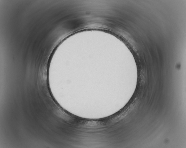 X0000116791322201001081305