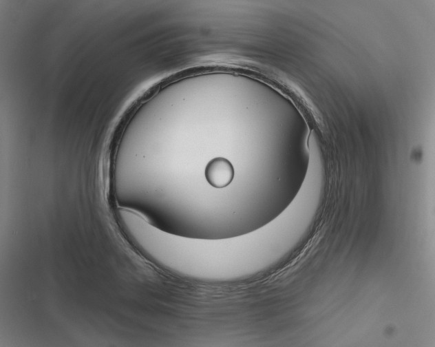 X0000116791323201001081305