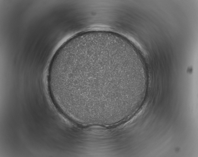 X0000116791325201001081305