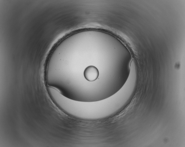 X0000116791326201001081305